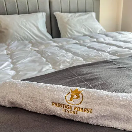 Apartament President X *