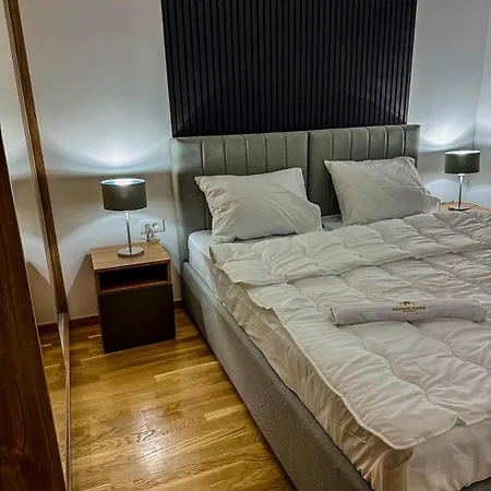 President X Zlatibor