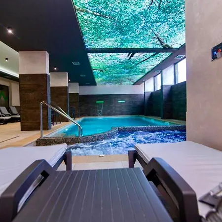 Apartament President X *