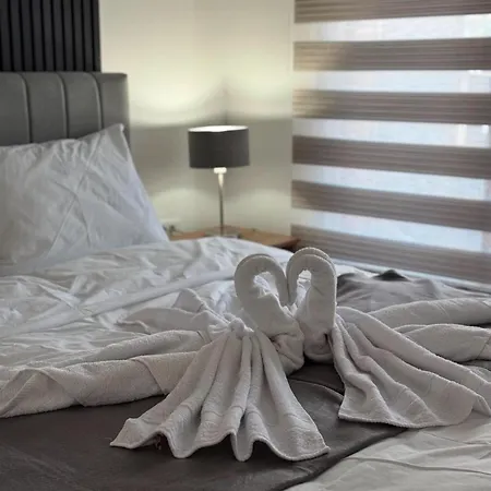 Apartament President X