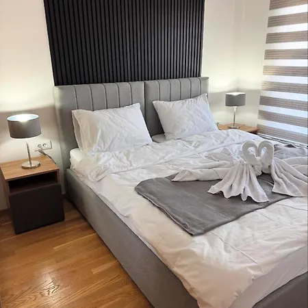 President X Zlatibor