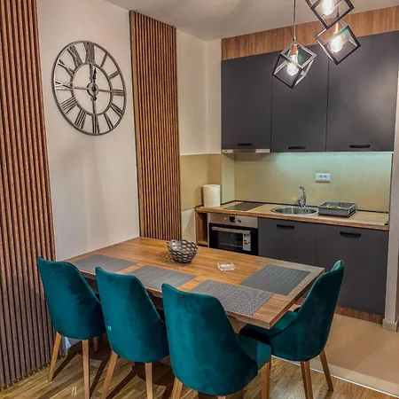 President X Zlatibor