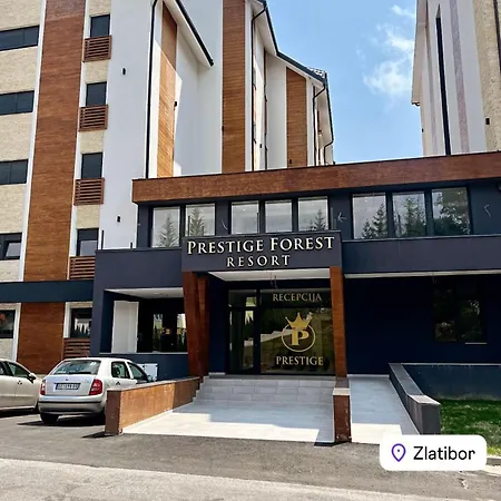 President X Zlatibor