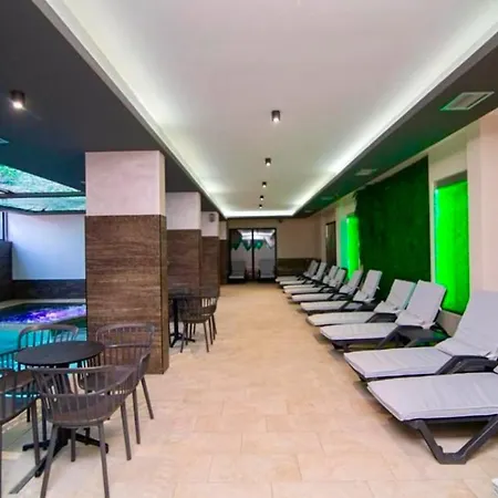 Apartament President X *