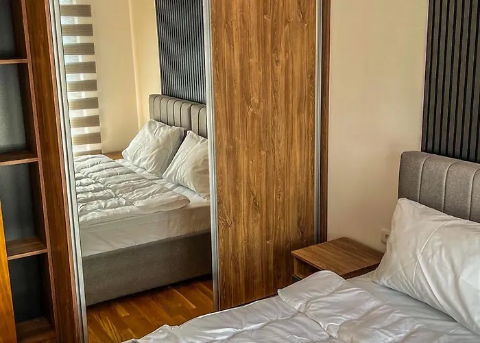 President X Zlatibor