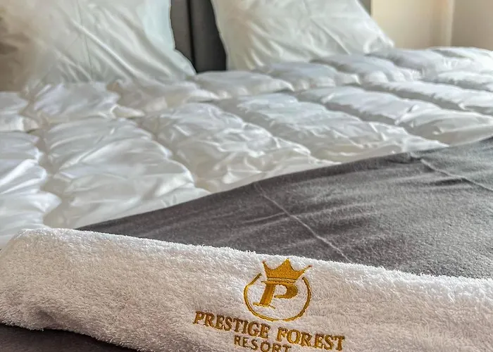 Apartament President X *