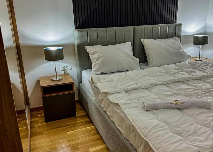 President X Zlatibor