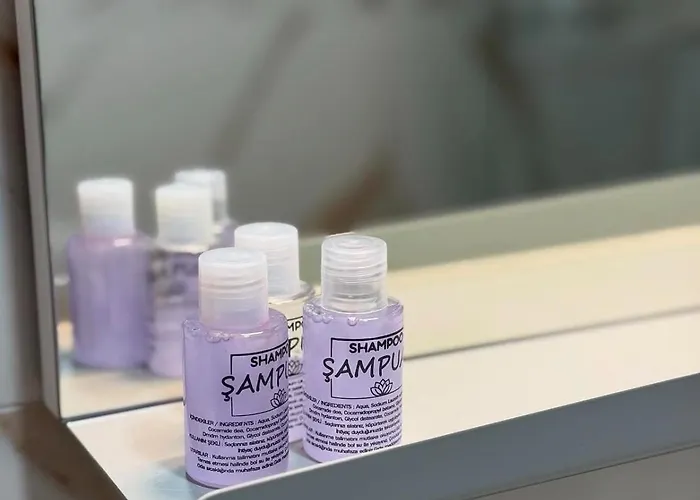 Apartament President X