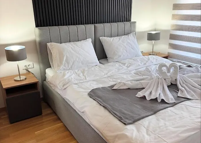 President X Zlatibor