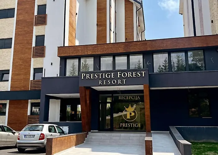 President X Zlatibor