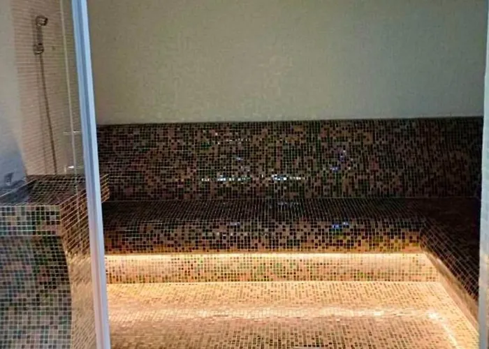 Apartament President X *