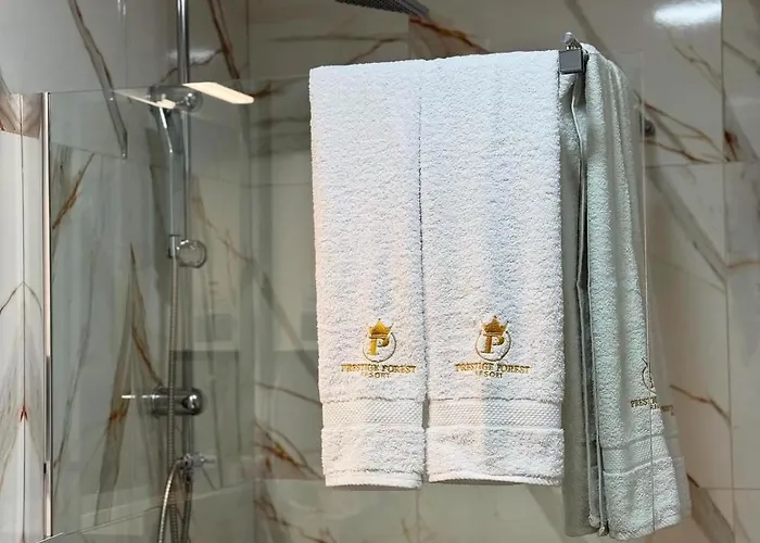 President X Apartament *