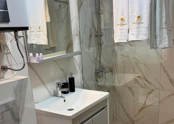 Apartament President X *