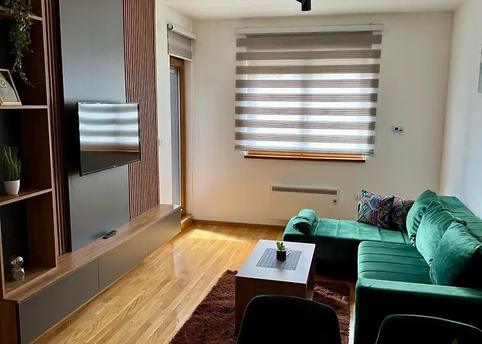 President X Zlatibor